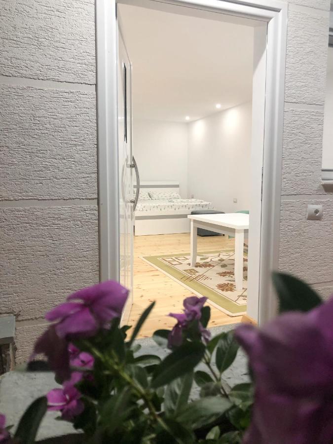 Appartement Seana